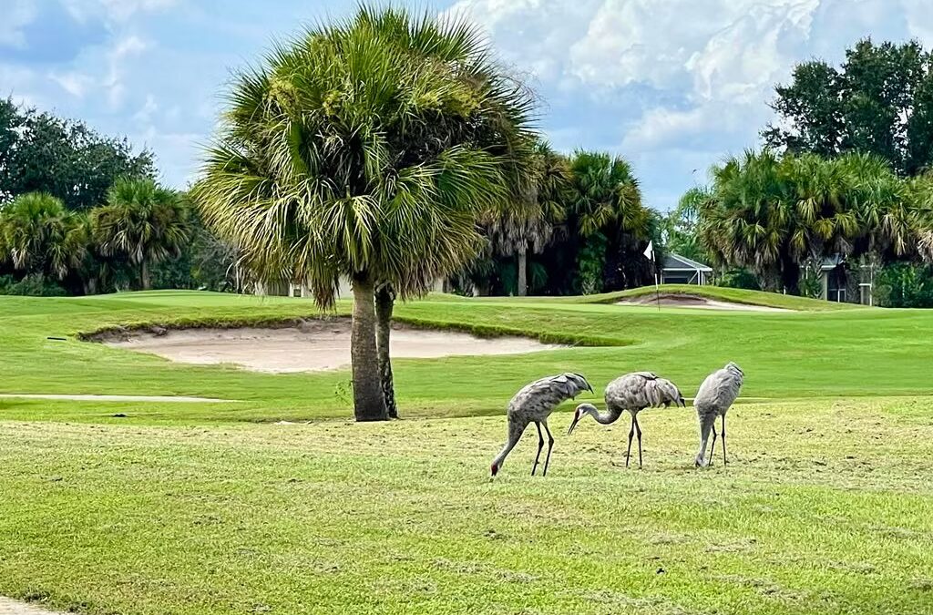 The Most Challenging Hole at Viera East Golf Course